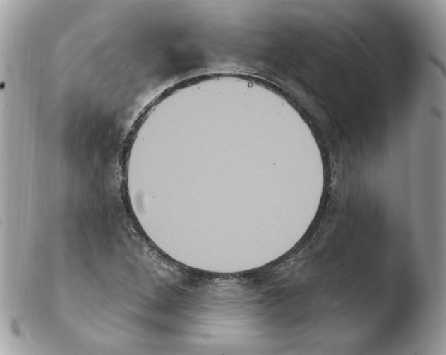 X0000103951264200810171829