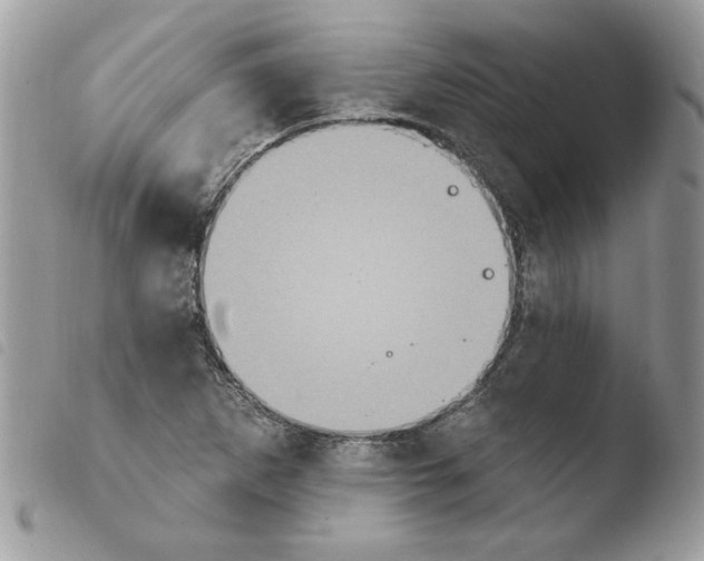 X0000103951265200810171829