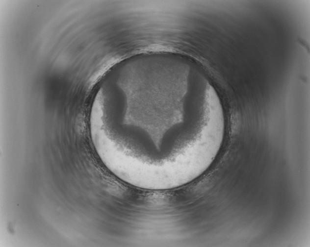 X0000103951266200810171829