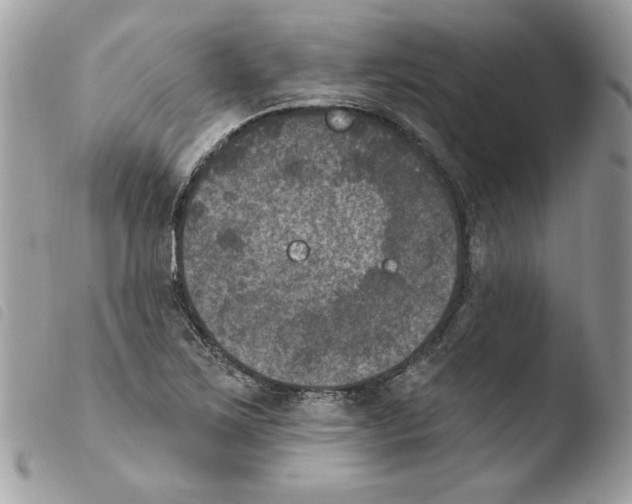 X0000103951267200810171829