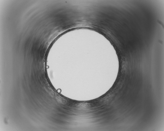 X0000103951268200810171829
