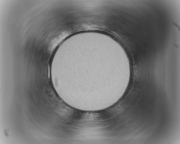 X0000103951269200810171829