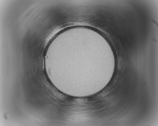 X0000103951271200810171829