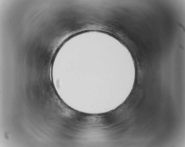 X0000103951272200810171829