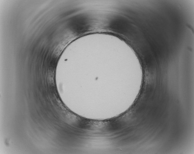 X0000103951273200810171829