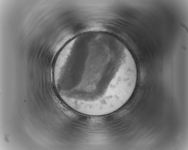 X0000103951274200810171829