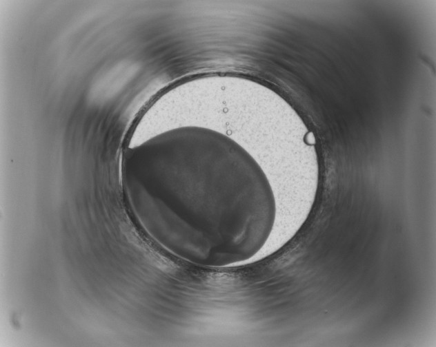 X0000103951275200810171829