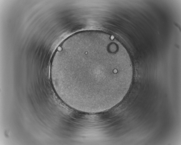 X0000103951276200810171829