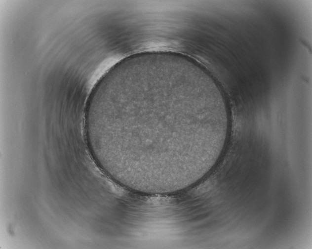 X0000103951277200810171829
