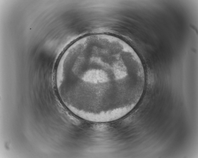 X0000103951278200810171829