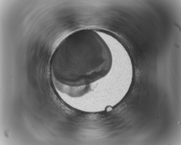 X0000103951279200810171829