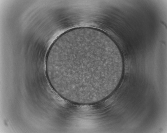X0000103951280200810171829