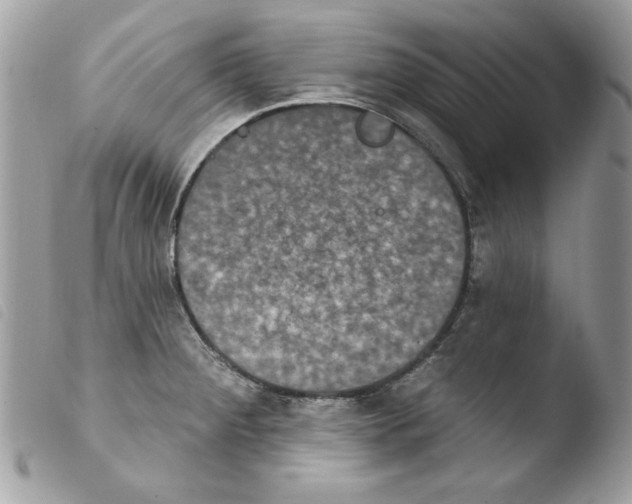 X0000103951284200810171829