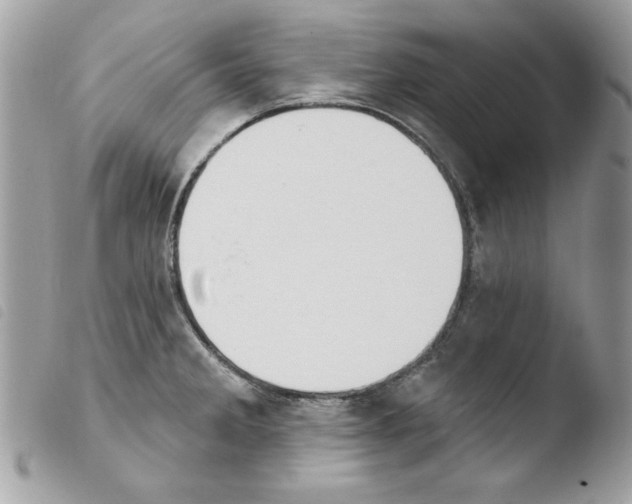 X0000103951285200810171829
