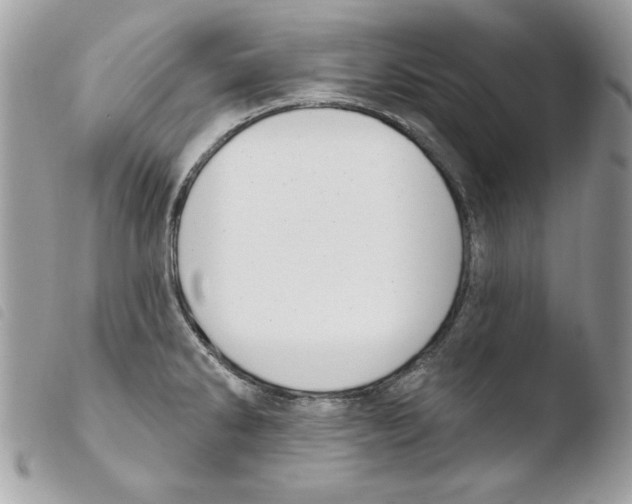 X0000103951286200810171829