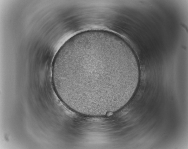 X0000103951287200810171829