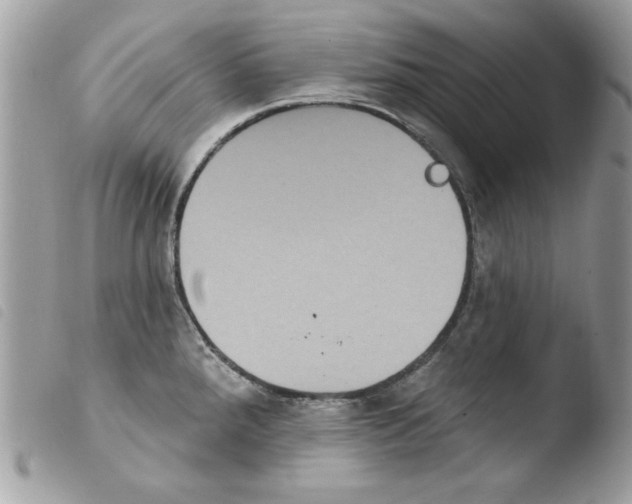 X0000103951288200810171829