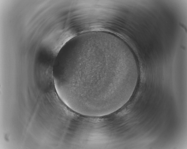 X0000103951289200810171829