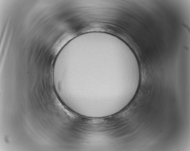 X0000103951290200810171829
