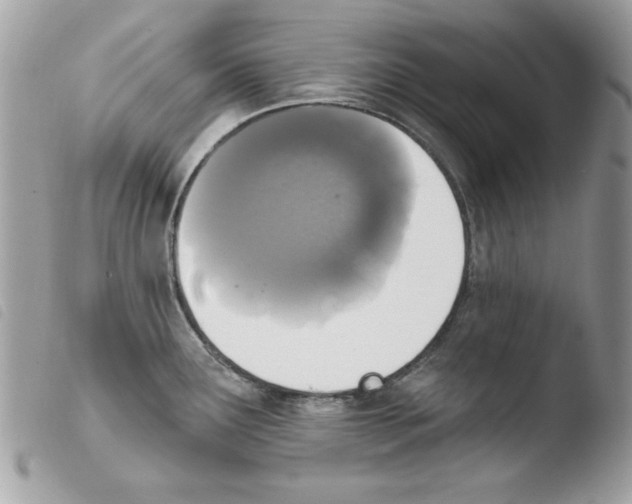 X0000103951291200810171829