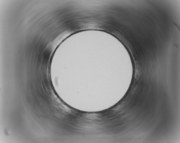 X0000103951293200810171829
