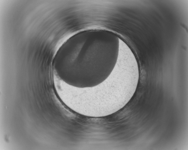 X0000103951295200810171829
