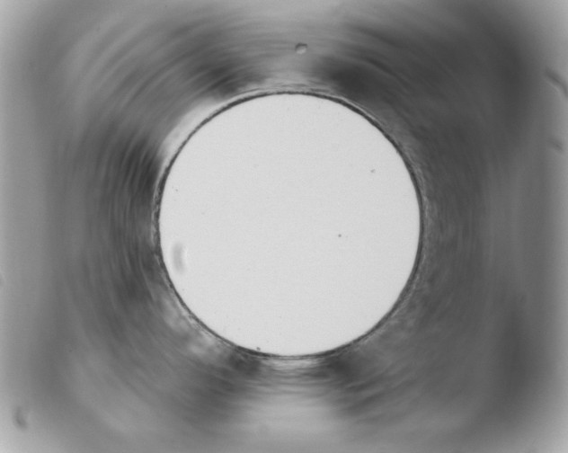 X0000103951296200810171829