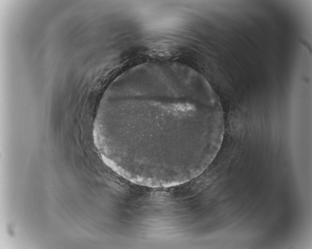 X0000103951297200810171828