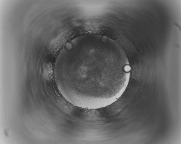 X0000103951298200810171828