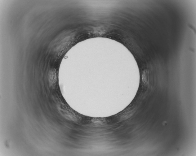 X0000103951299200810171828
