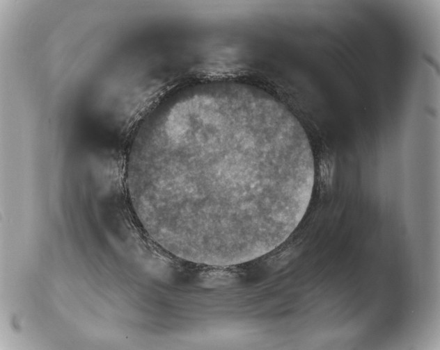 X0000103951300200810171828