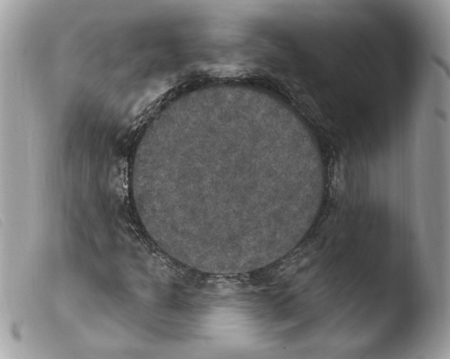 X0000103951301200810171828