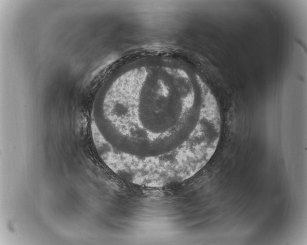 X0000103951302200810171828