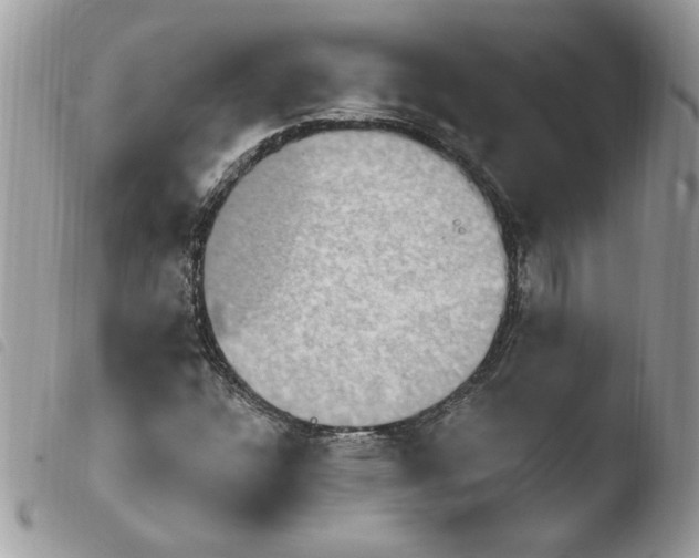 X0000103951304200810171828