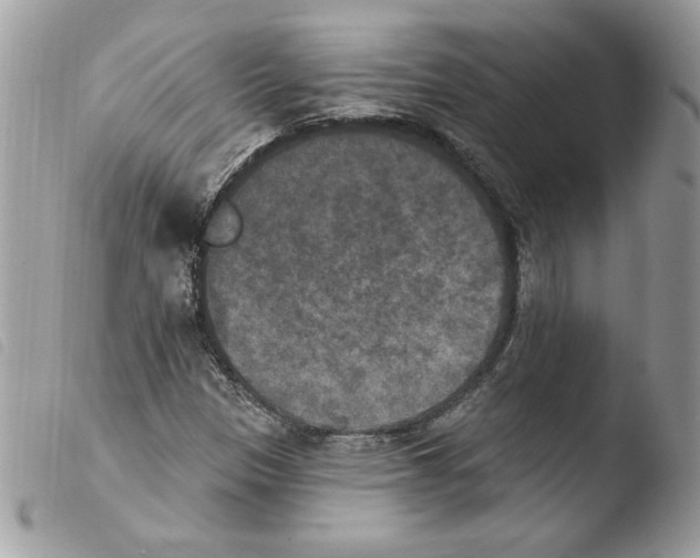 X0000103951305200810171828