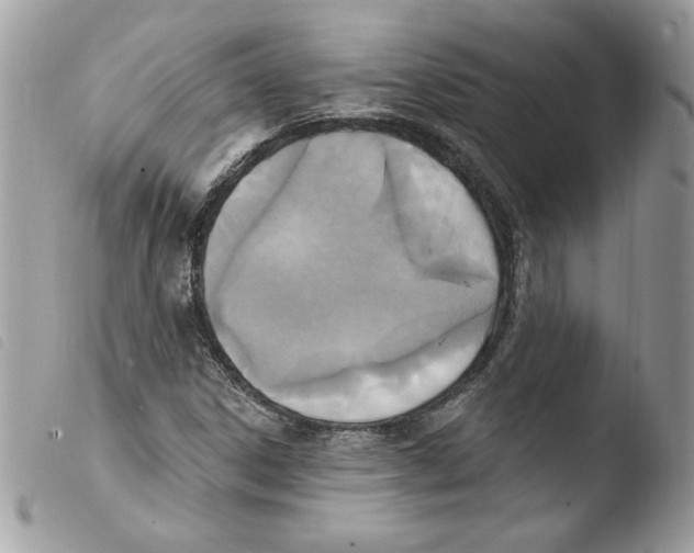 X0000103951306200810171828
