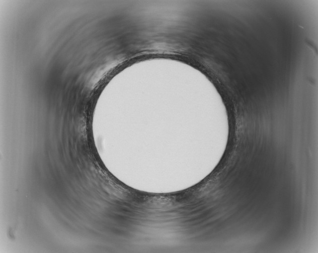X0000103951307200810171828
