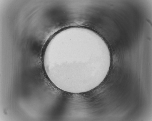 X0000103951308200810171828