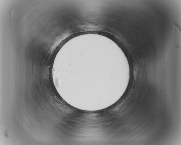X0000103951309200810171828