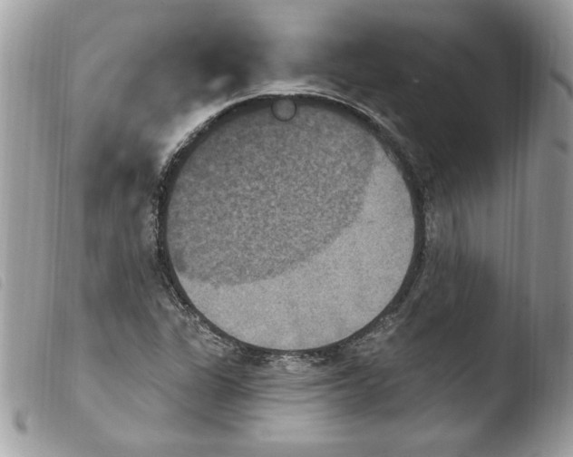 X0000103951311200810171828
