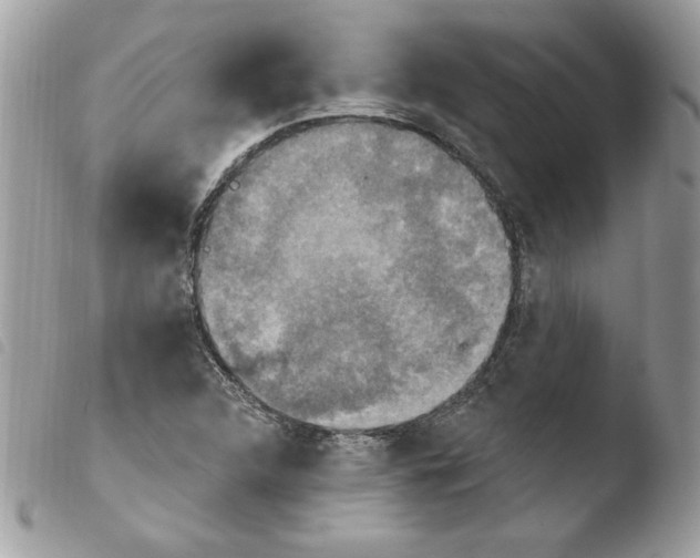 X0000103951312200810171828