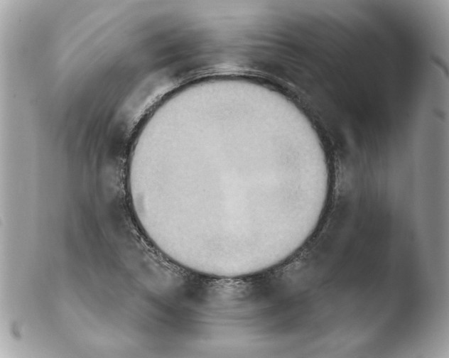 X0000103951314200810171828