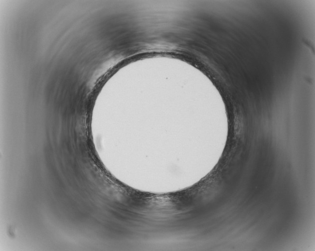 X0000103951315200810171828
