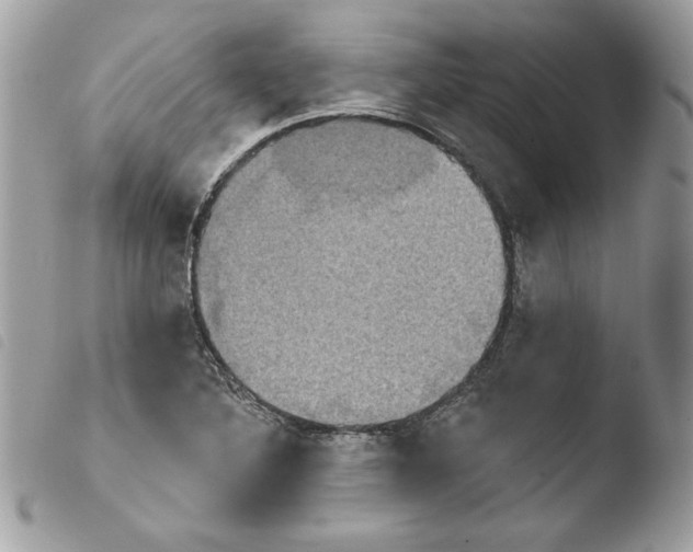 X0000103951316200810171828