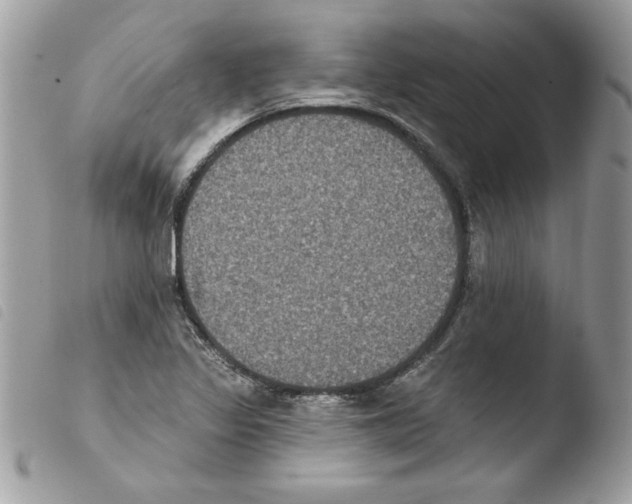 X0000103951317200810171828