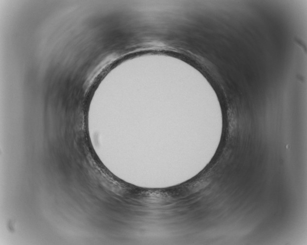 X0000103951318200810171829