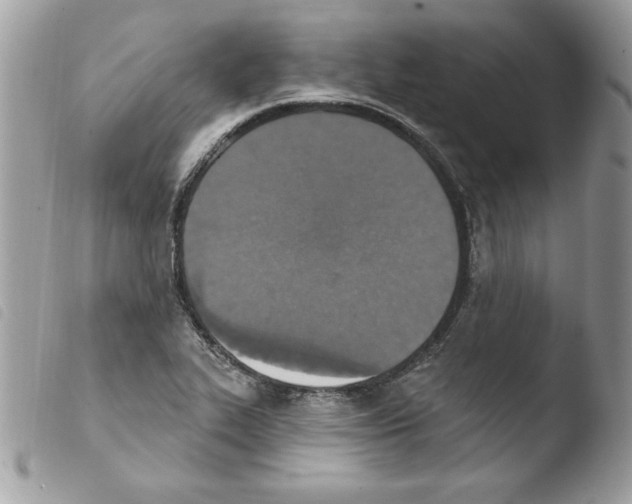 X0000103951319200810171829