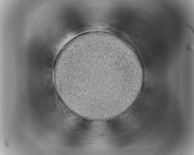 X0000103951320200810171829