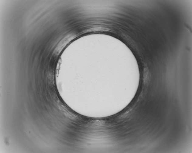 X0000103951321200810171829