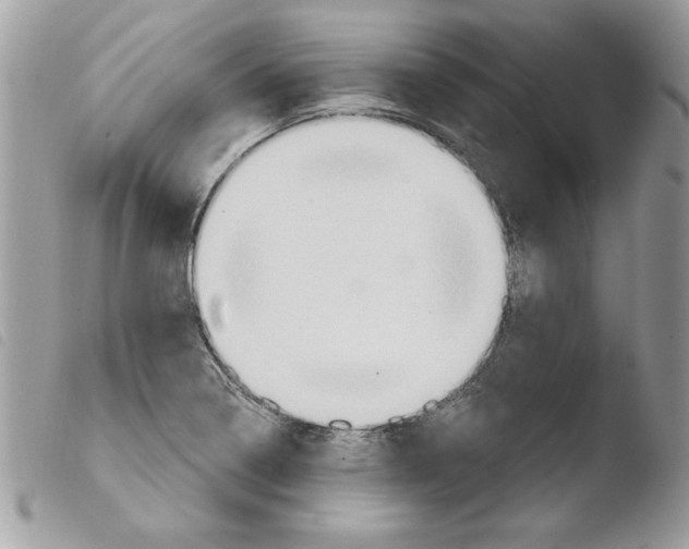 X0000103951322200810171829